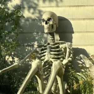 Video_1770526791707_965(online-audio-converter.com