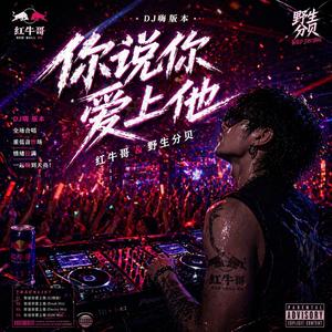 你说你爱上他(嗨版)
