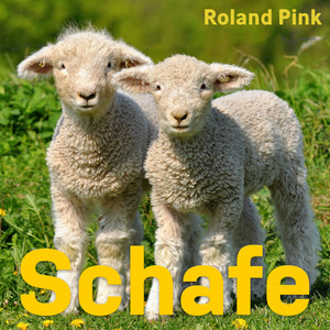 Schafe