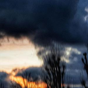 i think you should go