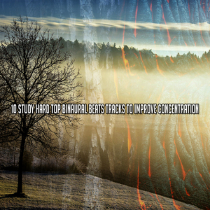 开放的自由领域