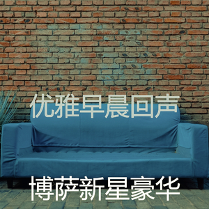 精彩在家里工作环境