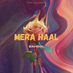 MERA HAAL