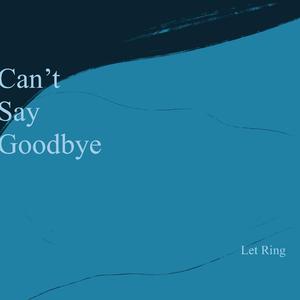 Can't Say Goodbye