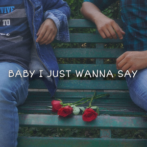 Baby I Just Wanna Say