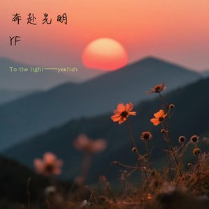To the light（奔赴光明）