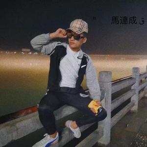 故事的开头总是极具温柔