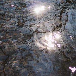 Bring Me Back（FYH Remix）