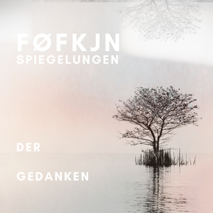Gedanken der Spiegelungen
