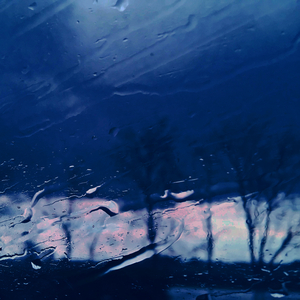 Night Rain