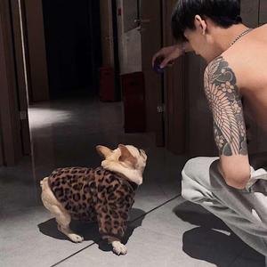 迷幻潮流 律动Future Bass by lulu production-完整版