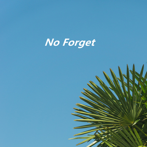 No Forget