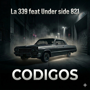 CODIGOS