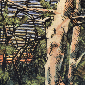 Asleep Many Years In The Wood