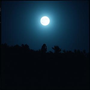 🌕亮亮的月下深深的夜中有个悲悲惨的人🌇 by Rocker Aung (Country Rock)