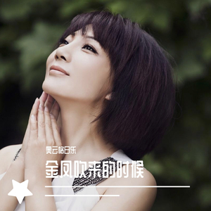 群星-金风吹来的时候（伴奏）（奥云格日乐 remix）