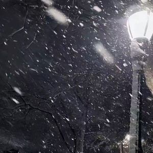 这个冬天没有你了（cover 田园）