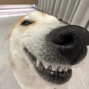 Ireallylikeyou_剪辑2_20260425_023041.wav