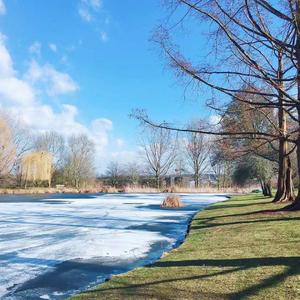 署门游戏配乐 - 信仰之路