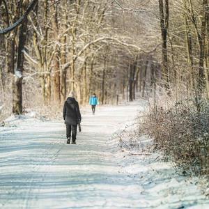 Nie byłaś snem z kolorowych lat