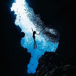 Sulampir (Firci inst)