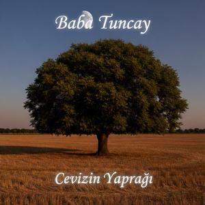 Cevizin yaprağı