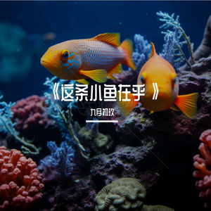 《这条小鱼在乎》