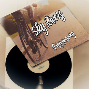 Я їду додому