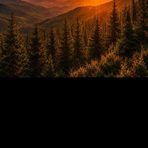 Golden Sunset
