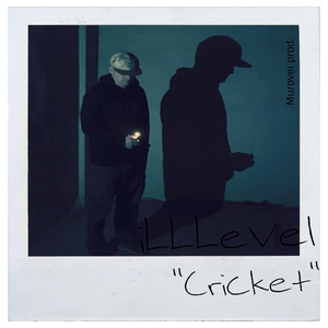 Cricket
