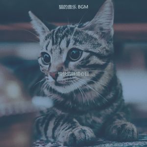 微妙的放松的猫心情