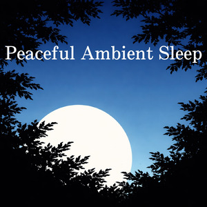 Midnight Rest to DEEP SLEEP MUSIC