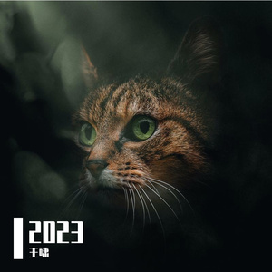 我的校园青春 伴奏