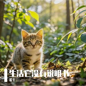 生活它没有说明书