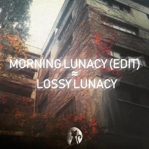 Lossy Lunacy