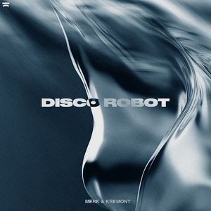 Disco Robot