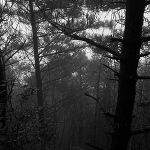 印在心间的深情