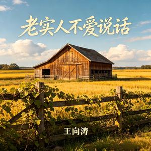 老实人不爱说话