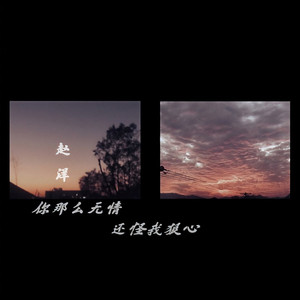 你那么无情还怪我狠心 (女声版)