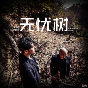 无忧树
