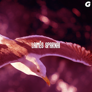 Laimės Sparnai
