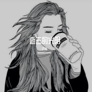 逝去的光阴v1