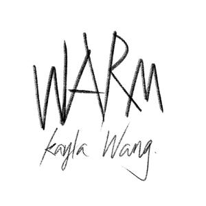 운명（命运）