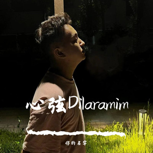 心弦Dilaramim