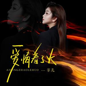爱情着了火 (菲儿版)