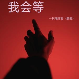 我会等