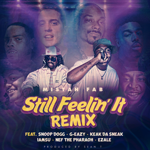Still Feelin' It (Remix)