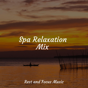 Chakra Shaman Healing