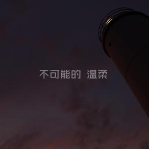 不可能的温柔