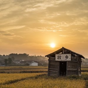 雨与远行